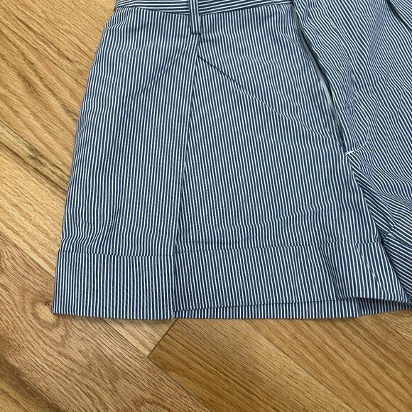 Banana Republic Blue Striped High Waist Shorts - Picture 4 of 9